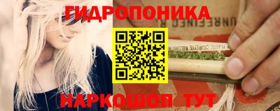 сатива Кулебаки