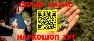 сатива Кулебаки